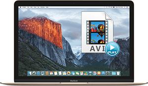 avi codec for mac quicktime player